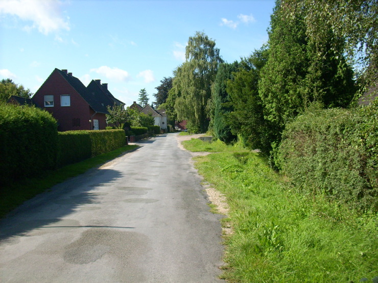 2008, Tauben